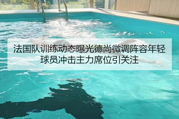 法国队训练动态曝光德尚微调阵容年轻球员冲击主力席位引关注